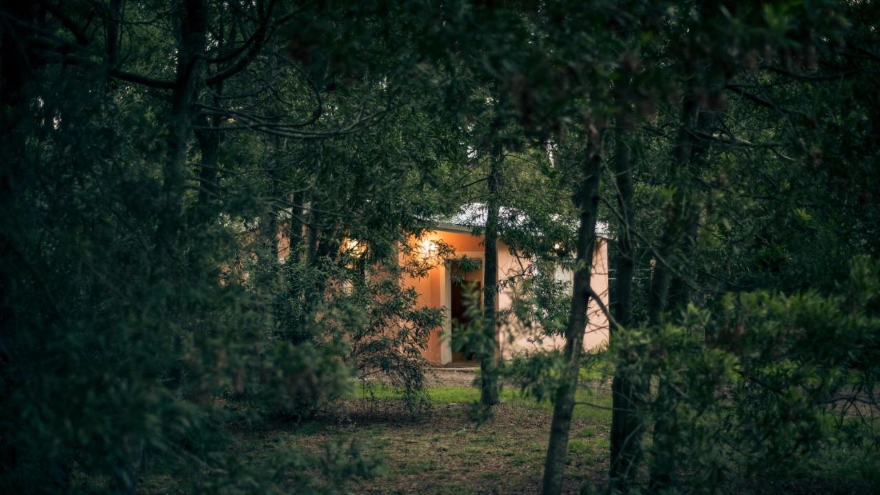 Apartamento NomeolvidesMás Tandil Exterior foto