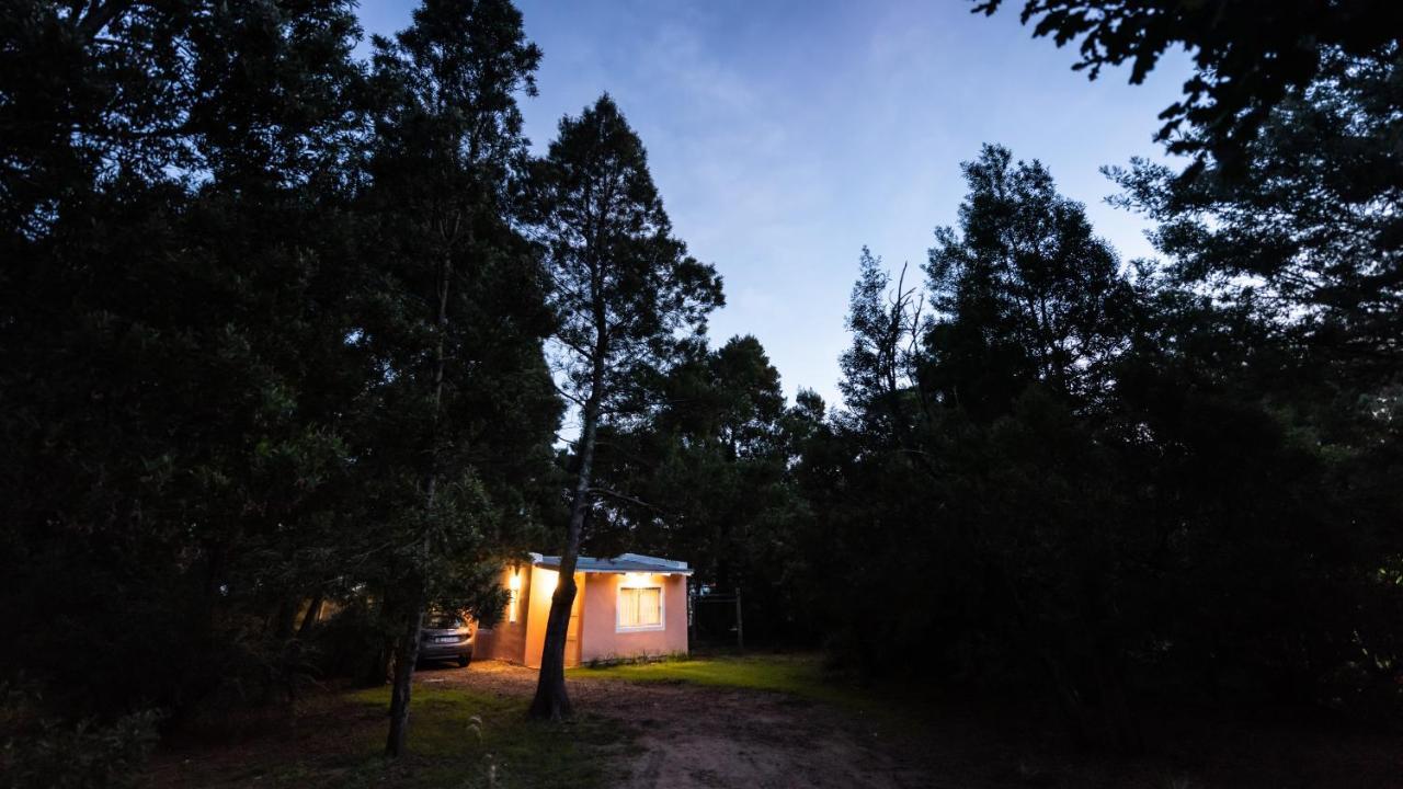 Apartamento NomeolvidesMás Tandil Exterior foto
